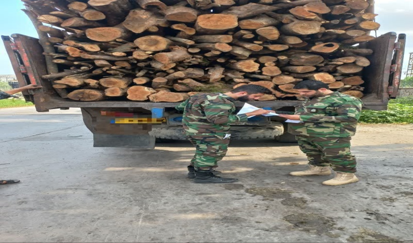 کشف وضبط چوب آلات قاچاق در شهرستان رشت 