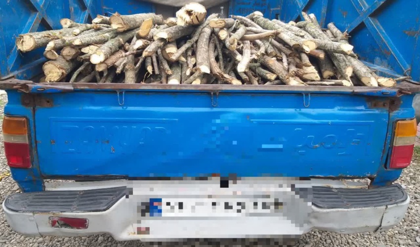  کشف وضبط چوب آلات قاچاق در شهرستان رشت  