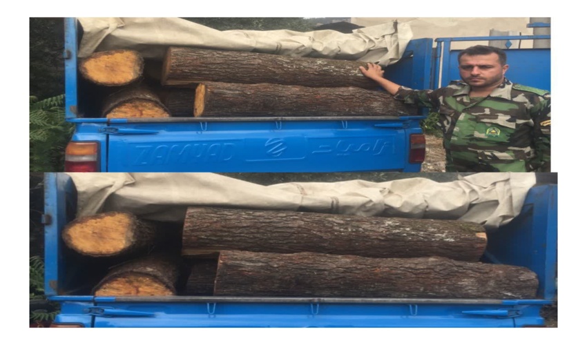 کشف وضبط چوب آلات قاچاق در شهرستان رودبار