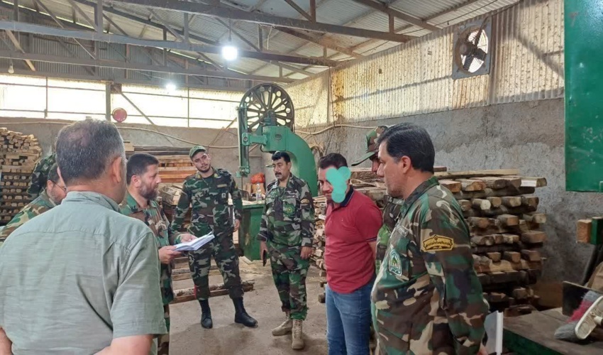 کشف وضبط چوب آلات قاچاق در شهرستان رضوانشهر