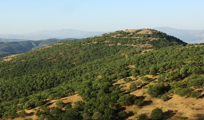 حتی یک متر هم از اراضی ملی کم نشده است