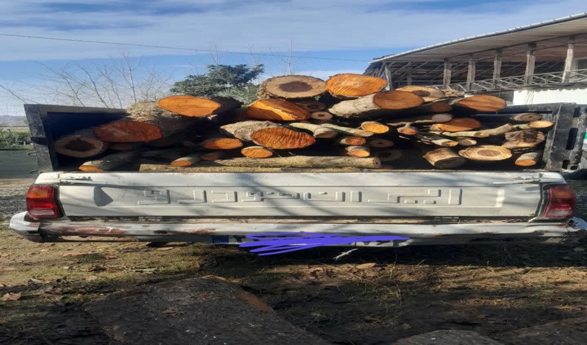کشف و ضبط چوب آلات قاچاق در شهرستان رودسر 