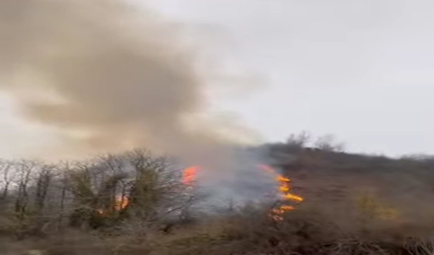 حریق یک هکتار از اراضی جنگلی دربند آستارا مهار شد