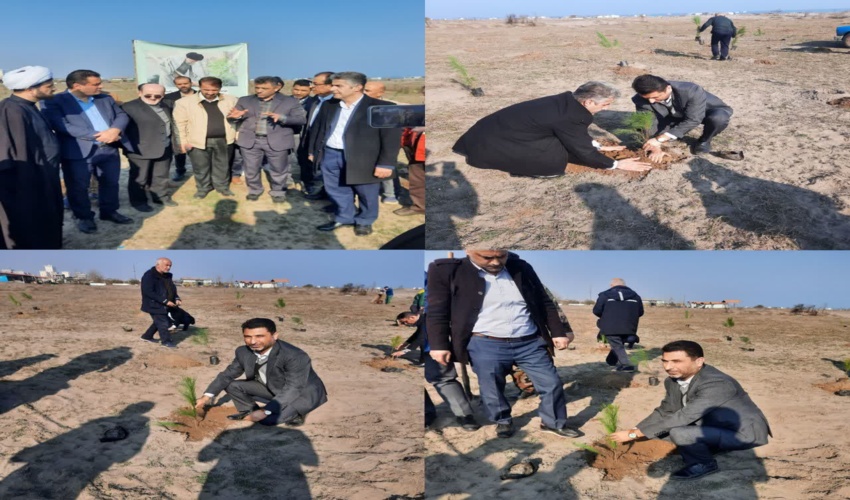 کاشت2000 نهال در شهرستان لنگرود 