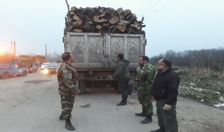 کشف و ضبط چوب آلات قاچاق در رشت 