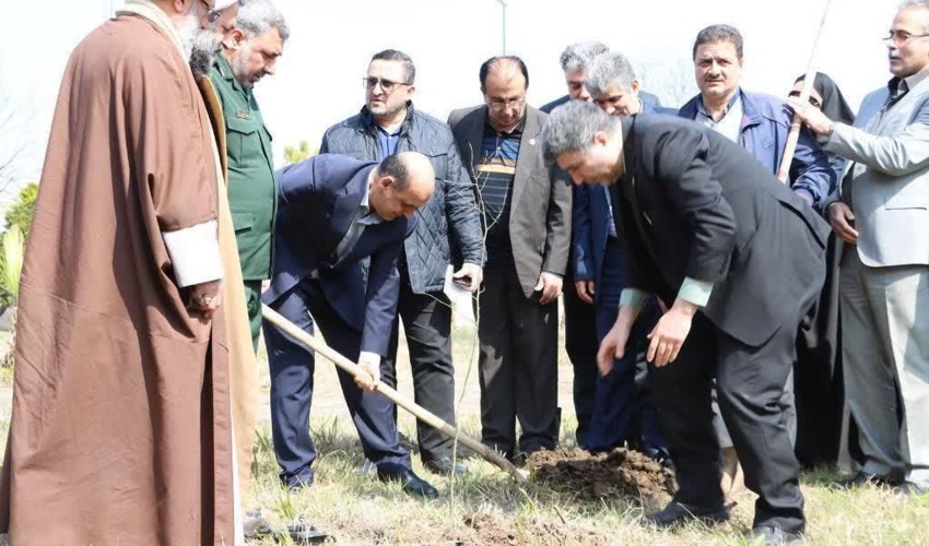 سال گذشته تعهد کاشت ۸ میلیون نهال در استان گیلان انجام شد