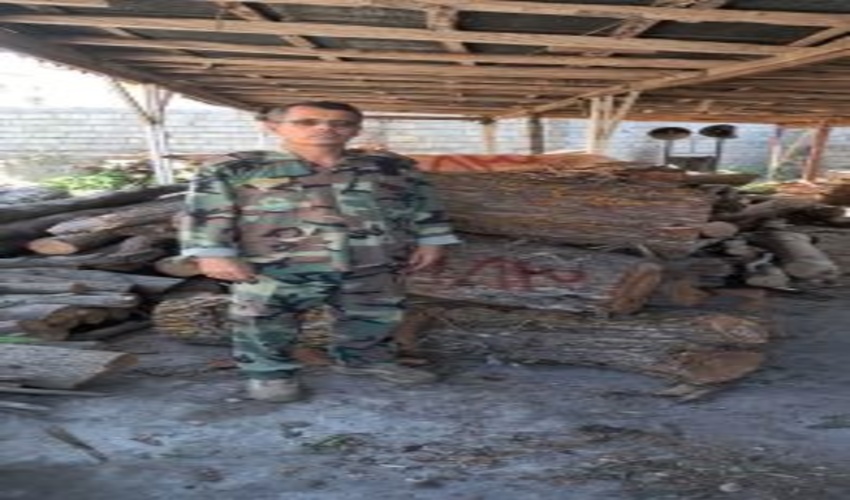 چوب آلات قاچاق در املش کشف وضبط شد