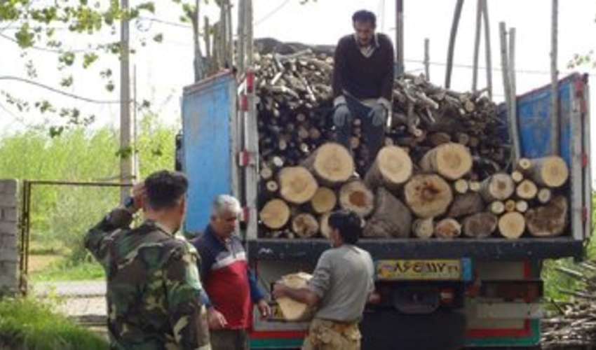 کشف بیش از ۲۶ تن چوب قاچاق به ارزش ۳۰۰ میلیون تومان در لنگرود