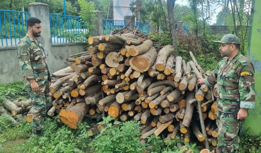 کشف وضبط چوب آلات قاچاق در فومن
