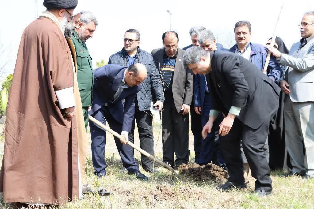 سال گذشته تعهد کاشت ۸ میلیون نهال در استان گیلان انجام شد سال گذشته تعهد کاشت ۸ میلیون نهال در استان گیلان انجام شد